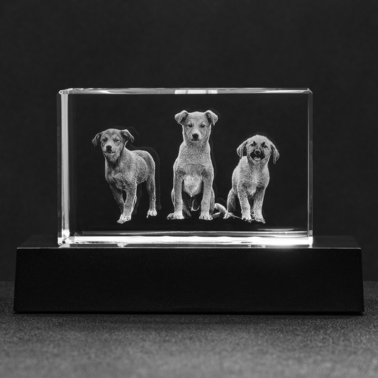 Your Photo Custom Laser Etched Into A High Quality Crystal Block