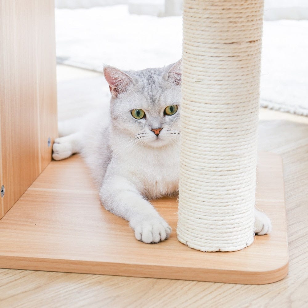 Cat Tree Tower Condo
