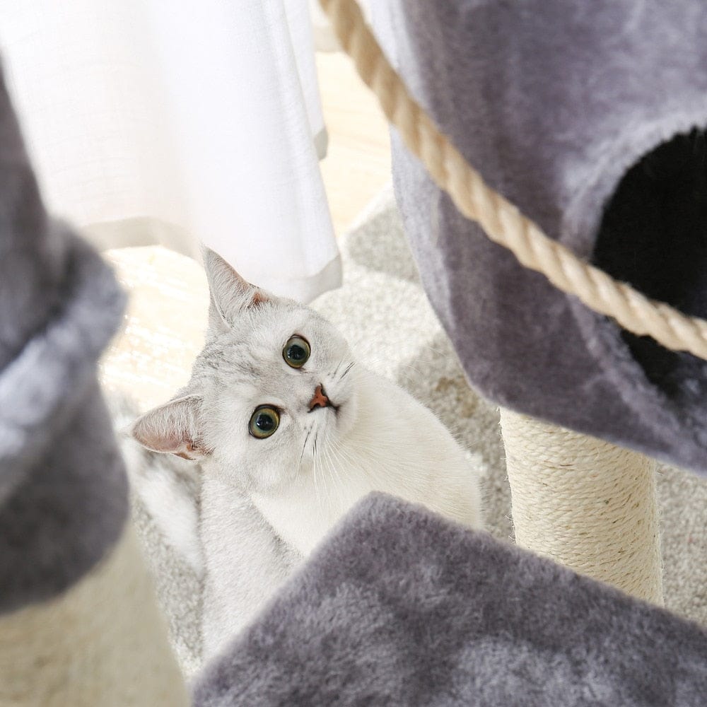 Cat Tree Tower Condo