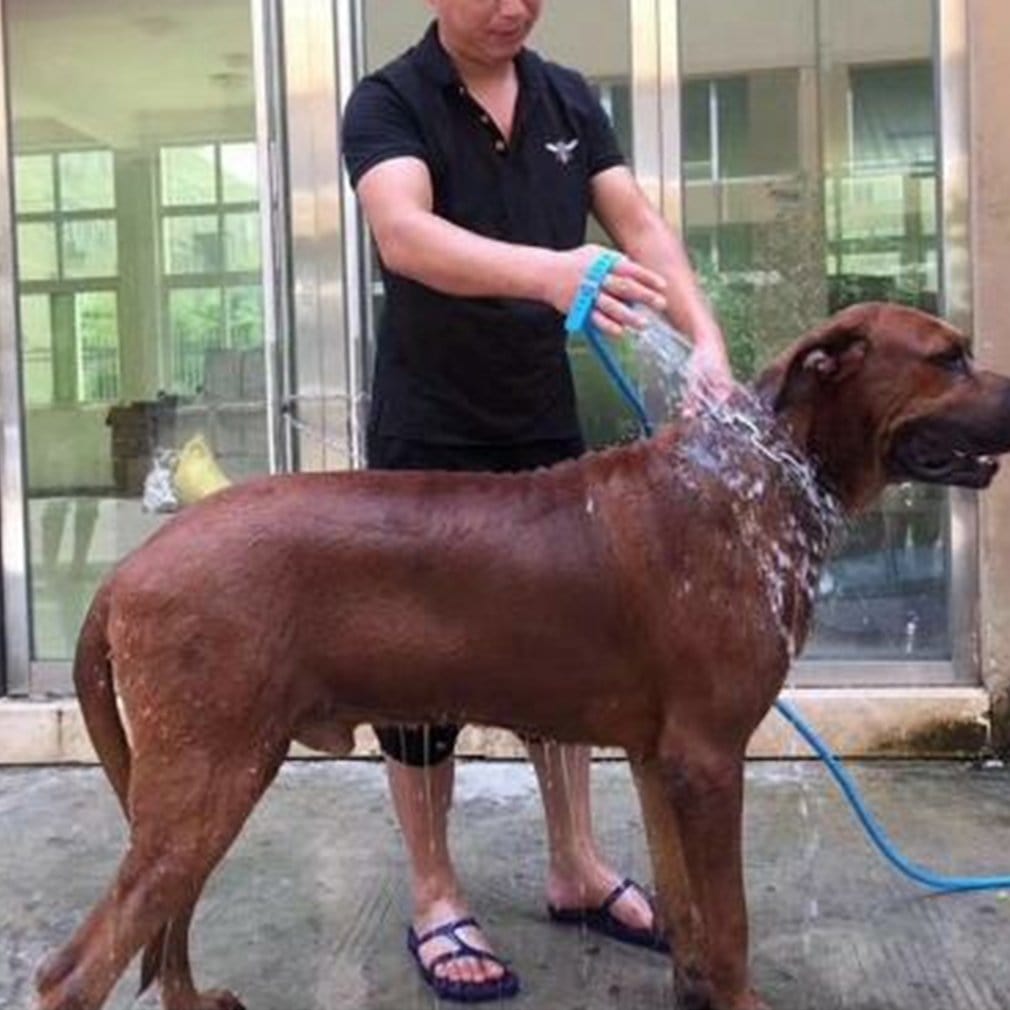 Dog & Cat Massaging Shower