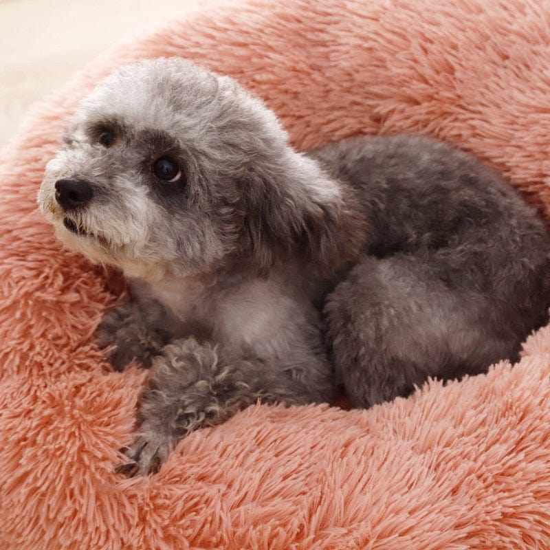 Doggy Cuddler™ Calming Bed Helps Feed Rescued Animals