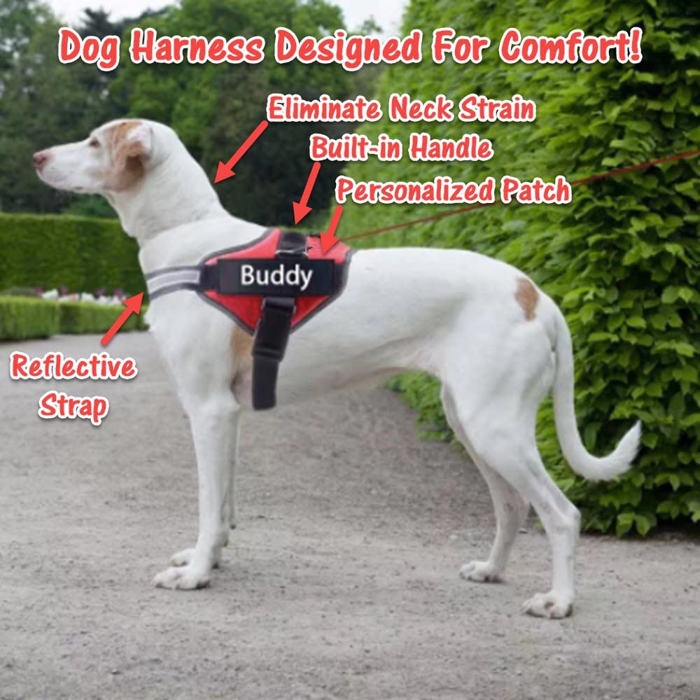 NO PULL NO PAIN Personalized Dog Harness - Feeds Rescued Animals!