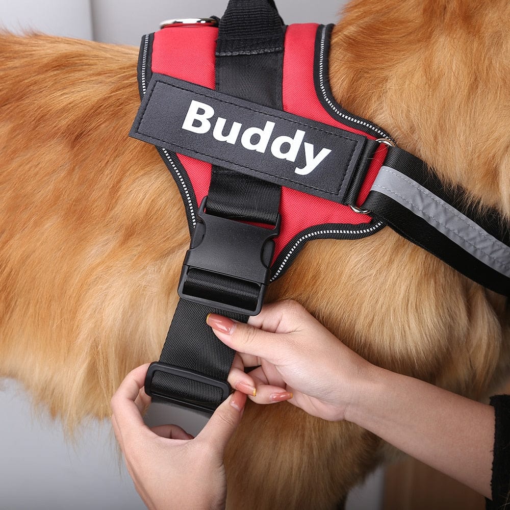 NO PULL NO PAIN Personalized Dog Harness - Feeds Rescued Animals!