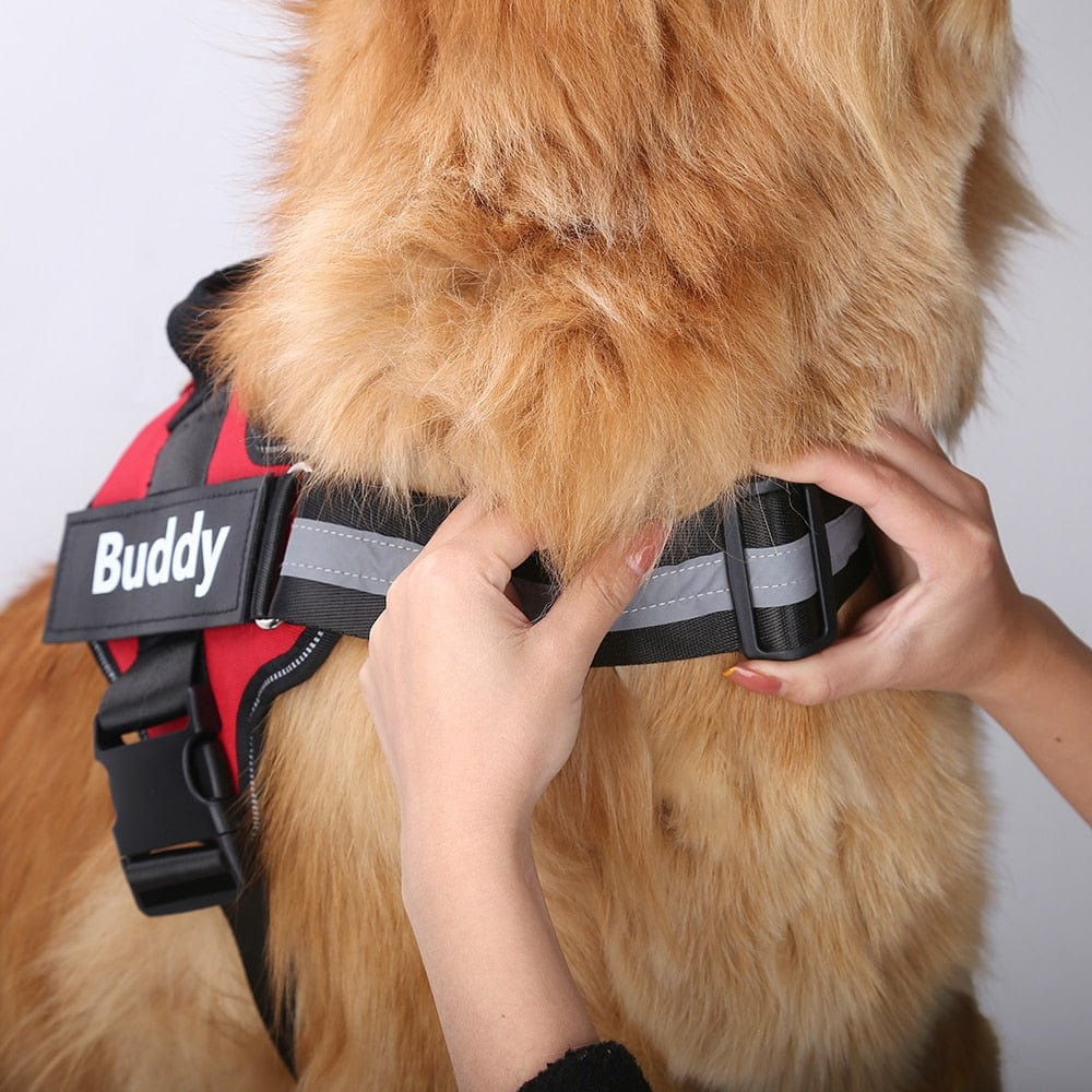 NO PULL NO PAIN Personalized Dog Harness - Feeds Rescued Animals!