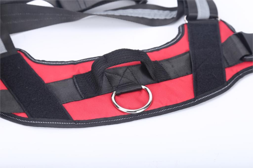 NO PULL NO PAIN Personalized Dog Harness - Feeds Rescued Animals!