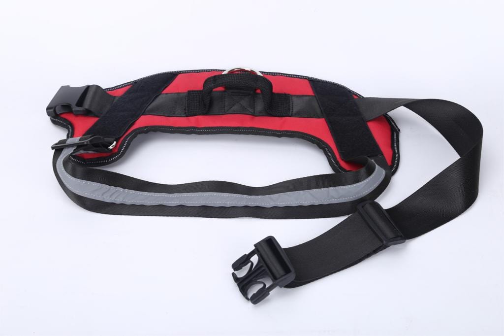 NO PULL NO PAIN Personalized Dog Harness - Feeds Rescued Animals!