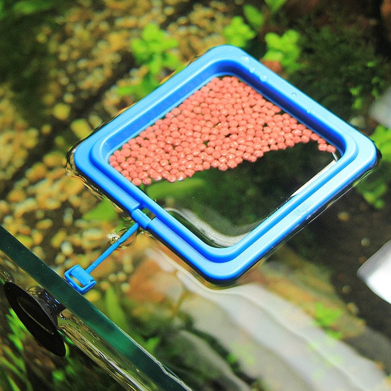 Floating Aquarium Fish Feeder